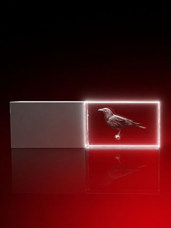 03_Rabe - USB-Stick, LED weiß, 64 GB (30 x 18 x 10) mm_80